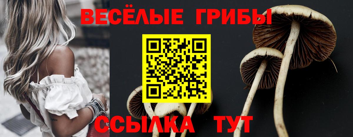 Псилоцибиновые грибы ЛСД Нижневартовск